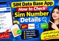 Sim Data Base App How to Check Sim Number Details